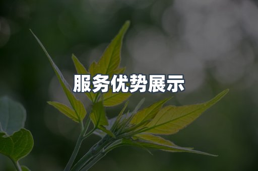 服务优势展示